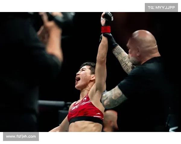 2017ufc赛事安排,2017ufc最新比赛视频