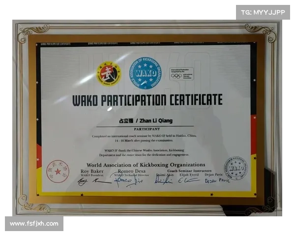 目前国际格斗赛事_目前国际格斗赛事排名